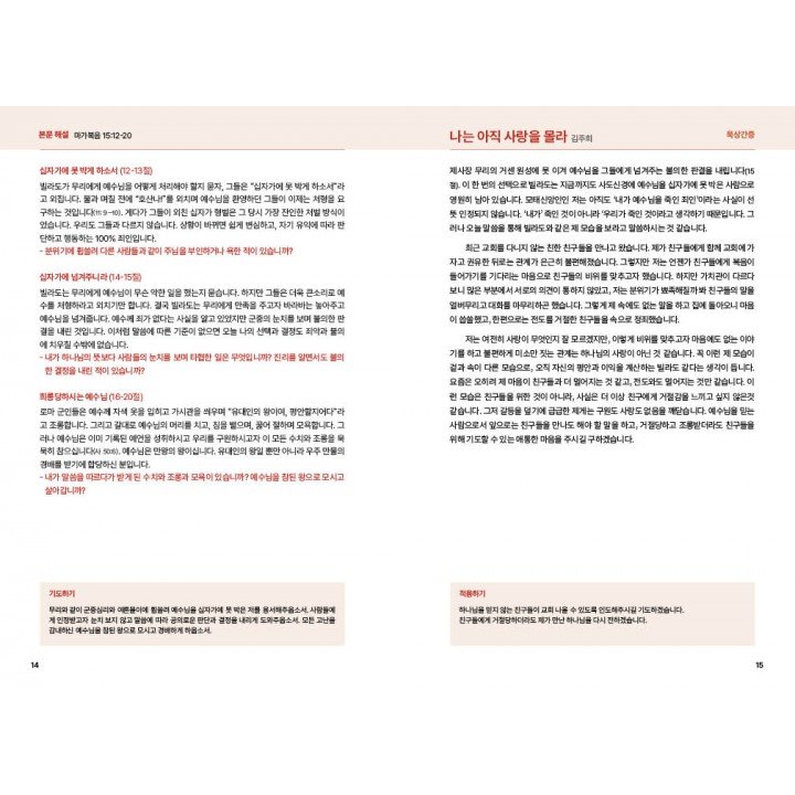 [KOR] Young Adult QTin (April 2026) -New Edition