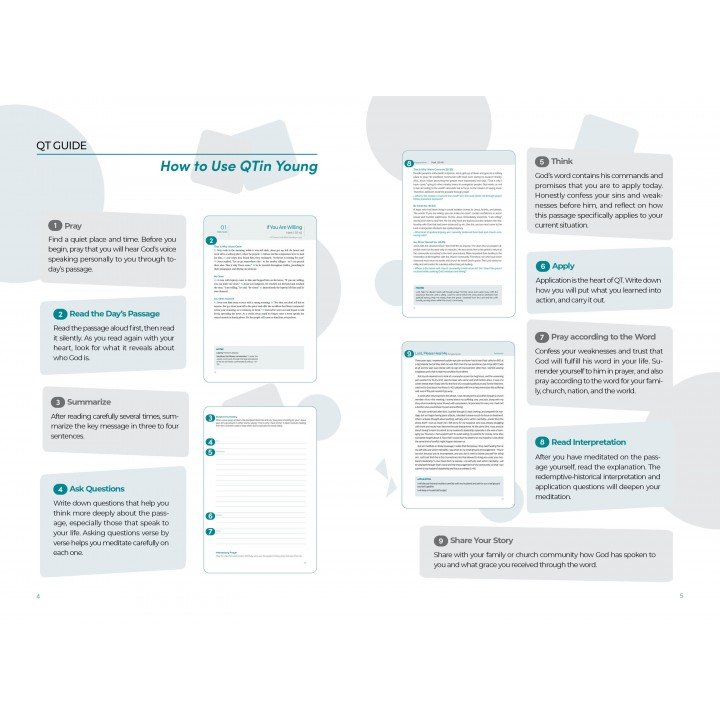 [ENG] Young Adult QTin (February 2026)