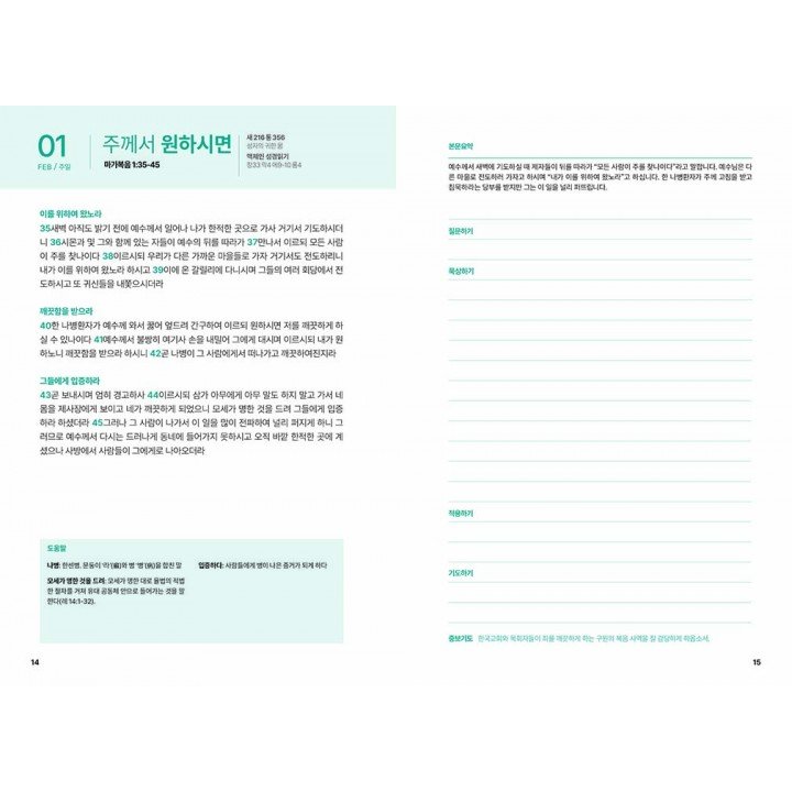 [KOR] Young Adult QTin (February 2026) -New Edition